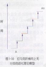 模式圖(用進廢退)