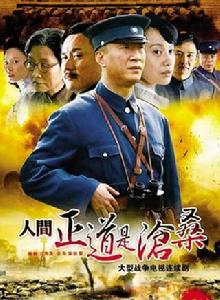 人間正道是滄桑[2008年孫紅雷主演電視劇]