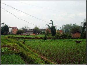 竹園團山村