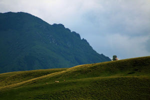 會澤大海草山