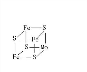 鐵鉬硫簇合物