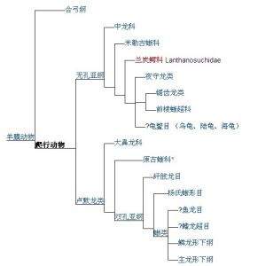 演化樹