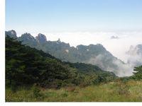 雲海納青山 志在雲端外