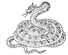 巴蛇[中國古代神獸]