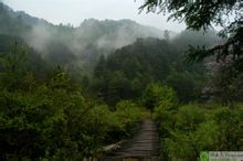 平河梁森林公園