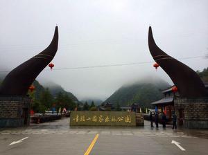 浙江牛頭山森林公園