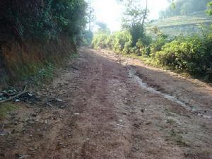 雲南省雲縣大朝山西鎮蒿子壩村進村道路