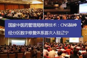 CNS腦神經分區數字修復體系