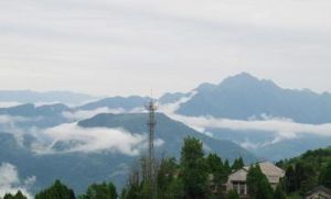 東山峰管理區