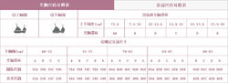 胸罩型號確定