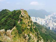 獅子山村[昆明安寧市連然鎮極樂村委會下轄村]