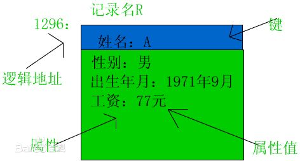 檔案邏輯結構