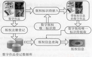 數字指紋