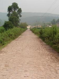 小街鎮舍郎村民委員會白龍箐村進村道路