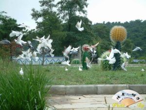 濟南市野生動物園