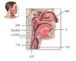 聲帶息肉手術