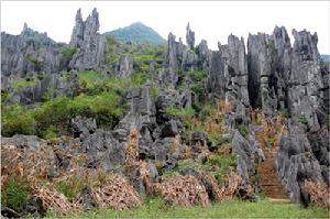 龍頭大山自然保護區