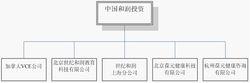 何雁[中國和潤集團董事長]