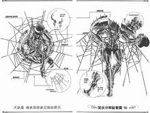 冥衣[《聖鬥士星矢》中冥鬥士所穿的戰鬥衣]