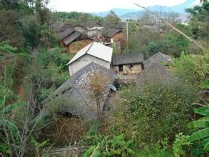 新岸山村