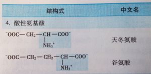 酸性胺基酸
