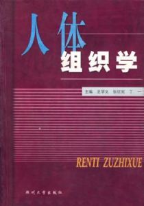 人體組織學