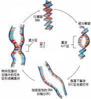 減色效應