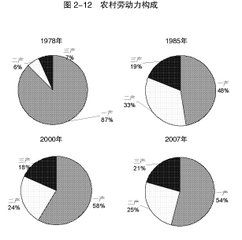 鄉村經濟結構