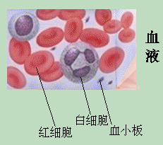 腺病毒性肺炎