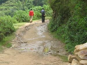 龍馬樹自然村道路