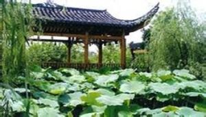 張家界綠色大地生態觀光園