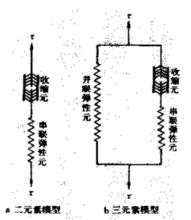 肌肉力學