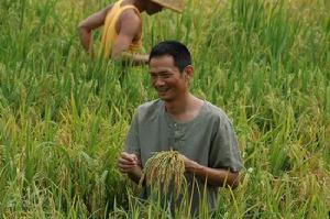 （圖）獻禮片《袁隆平》精彩劇照