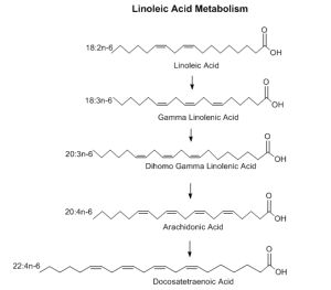 生物作用過程化學式