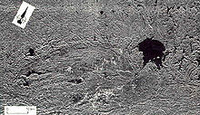 挑戰者號太空梭於1984/1985年間以合成孔徑雷達探測的索德柏立盆地影像
