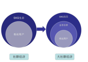 大社群經濟