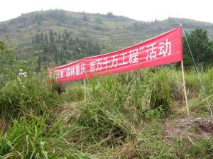 “森林重慶—國防林”植樹活動在重慶市巴南文化公園拉開序幕