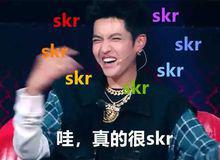 skr[網路用語]