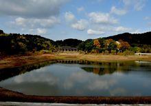 黃陂金果園