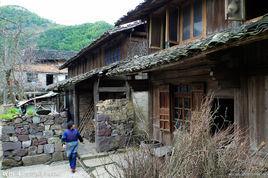 古樹村[山西省大同市靈丘縣東河南鎮下屬村]