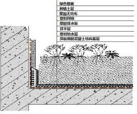 排水板