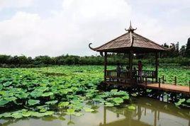 東灣村[安徽肥西縣花崗鎮下轄村]