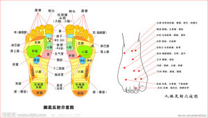 人體足部穴點陣圖