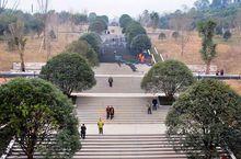 涪陵白鶴森林公園