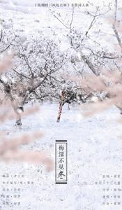 梅深不見冬 梅深不見冬