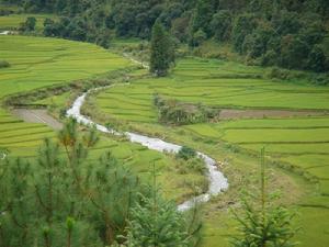 麻櫟山村自然資源-田間小河