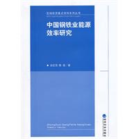 中國鋼鐵業能源效率研究