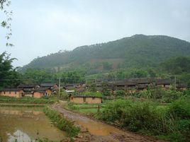 王家村[雲南省祿勸縣九龍鎮下轄村]