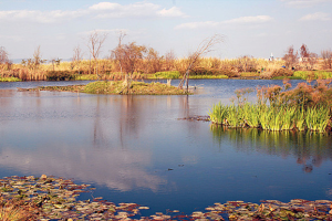 綠水灣國家城市濕地公園