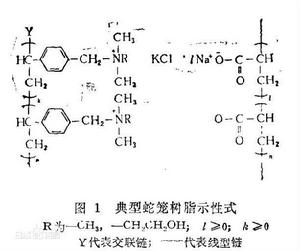 圖一